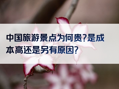 中国旅游景点为何贵？是成本高还是另有原因？