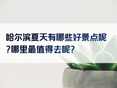 哈尔滨夏天有哪些好景点呢？哪里最值得去呢？