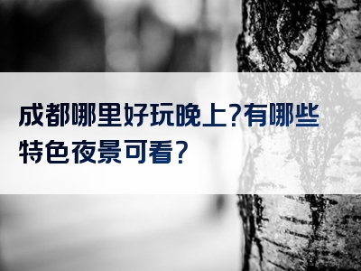 成都哪里好玩晚上？有哪些特色夜景可看？
