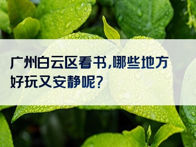 广州白云区看书，哪些地方好玩又安静呢？