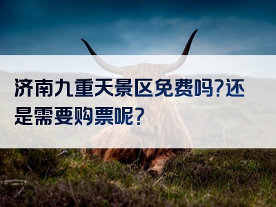 济南九重天景区免费吗？还是需要购票呢？