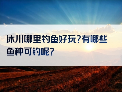 沐川哪里钓鱼好玩？有哪些鱼种可钓呢？