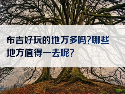 布吉好玩的地方多吗？哪些地方值得一去呢？