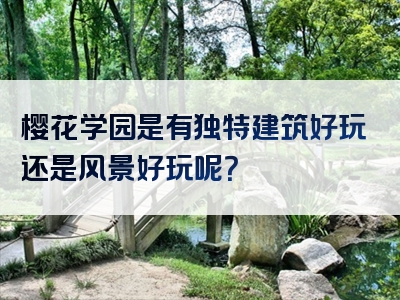 樱花学园是有独特建筑好玩还是风景好玩呢？
