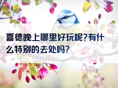 喜德晚上哪里好玩呢？有什么特别的去处吗？