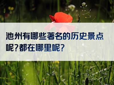 池州有哪些著名的历史景点呢？都在哪里呢？