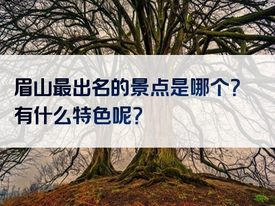 眉山最出名的景点是哪个？有什么特色呢？