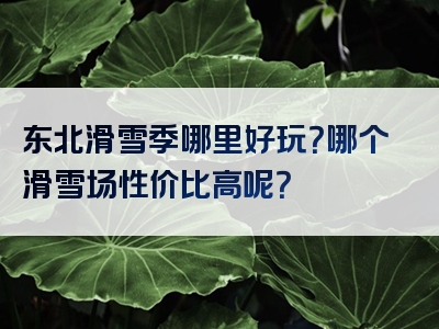 东北滑雪季哪里好玩？哪个滑雪场性价比高呢？