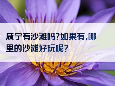 咸宁有沙滩吗？如果有，哪里的沙滩好玩呢？