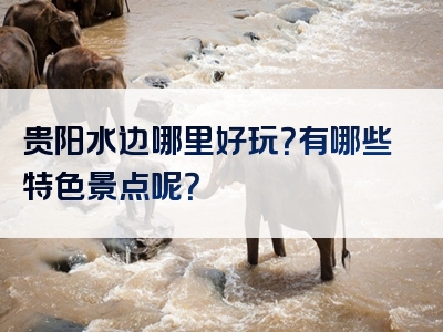 贵阳水边哪里好玩？有哪些特色景点呢？