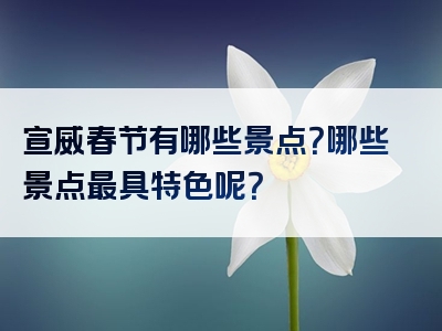 宣威春节有哪些景点？哪些景点最具特色呢？