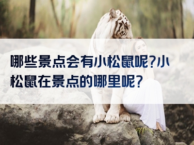 哪些景点会有小松鼠呢？小松鼠在景点的哪里呢？