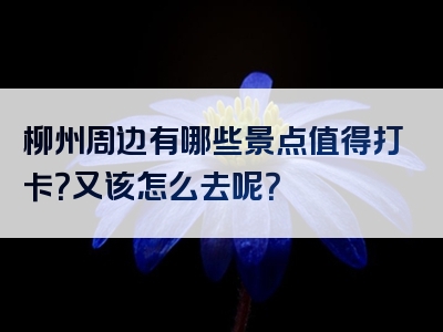 柳州周边有哪些景点值得打卡？又该怎么去呢？