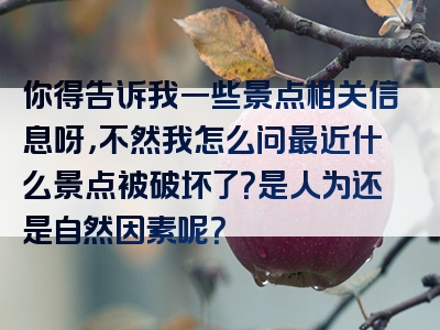 你得告诉我一些景点相关信息呀，不然我怎么问最近什么景点被破坏了？是人为还是自然因素呢？