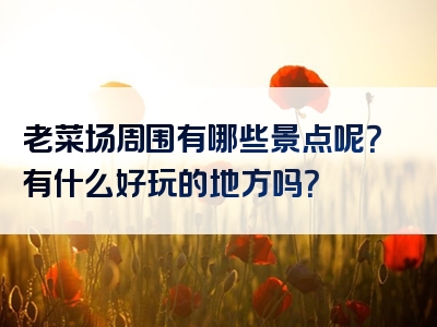 老菜场周围有哪些景点呢？有什么好玩的地方吗？