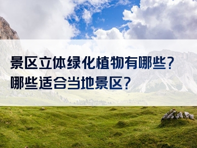 景区立体绿化植物有哪些？哪些适合当地景区？