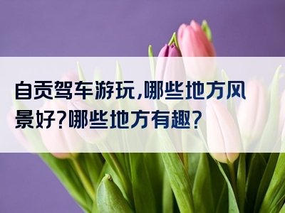 自贡驾车游玩，哪些地方风景好？哪些地方有趣？