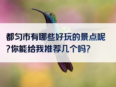 都匀市有哪些好玩的景点呢？你能给我推荐几个吗？