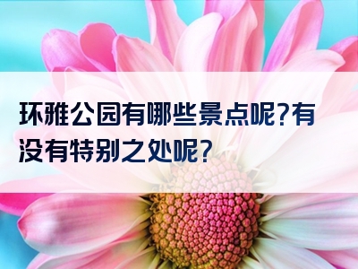 环雅公园有哪些景点呢？有没有特别之处呢？