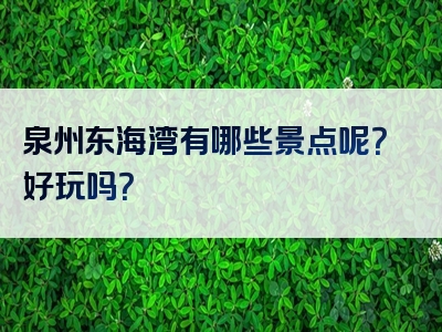 泉州东海湾有哪些景点呢？好玩吗？