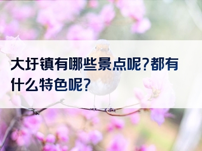 大圩镇有哪些景点呢？都有什么特色呢？
