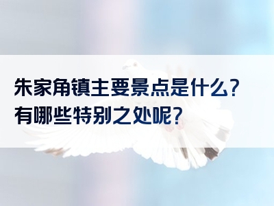 朱家角镇主要景点是什么？有哪些特别之处呢？