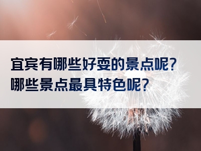 宜宾有哪些好耍的景点呢？哪些景点最具特色呢？