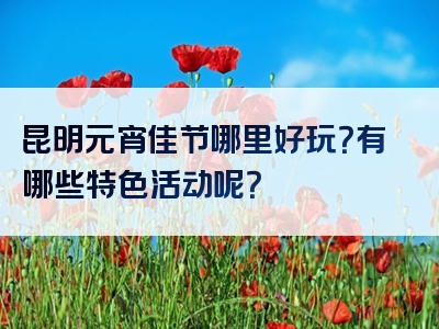 昆明元宵佳节哪里好玩？有哪些特色活动呢？