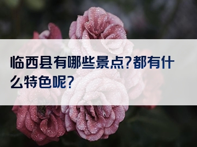 临西县有哪些景点？都有什么特色呢？