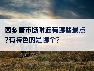 西乡塘市场附近有哪些景点？有特色的是哪个？