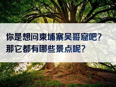 你是想问柬埔寨吴哥窟吧？那它都有哪些景点呢？