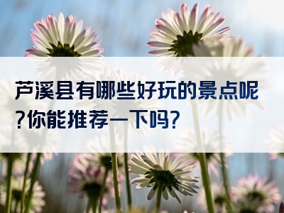 芦溪县有哪些好玩的景点呢？你能推荐一下吗？