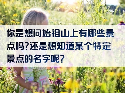 你是想问始祖山上有哪些景点吗？还是想知道某个特定景点的名字呢？