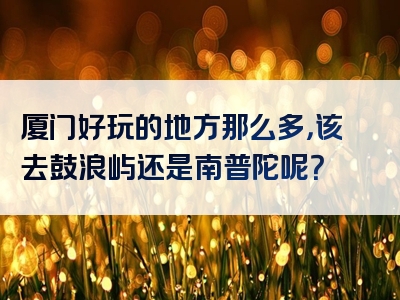 厦门好玩的地方那么多，该去鼓浪屿还是南普陀呢？