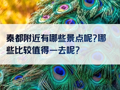 秦都附近有哪些景点呢？哪些比较值得一去呢？