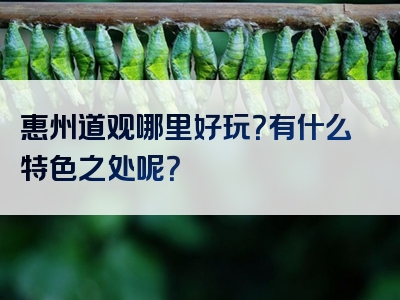惠州道观哪里好玩？有什么特色之处呢？
