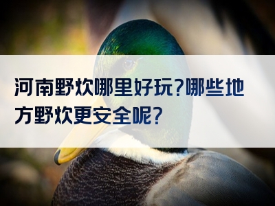 河南野炊哪里好玩？哪些地方野炊更安全呢？