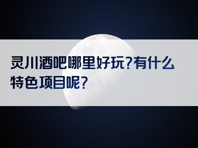 灵川酒吧哪里好玩？有什么特色项目呢？
