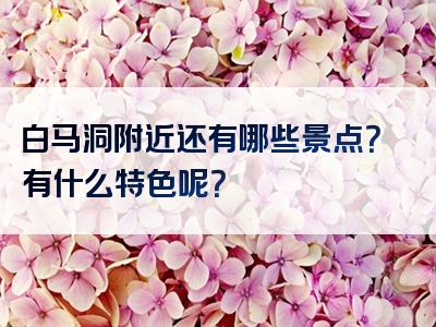 白马洞附近还有哪些景点？有什么特色呢？