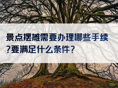 景点摆摊需要办理哪些手续？要满足什么条件？
