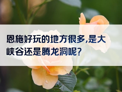 恩施好玩的地方很多，是大峡谷还是腾龙洞呢？