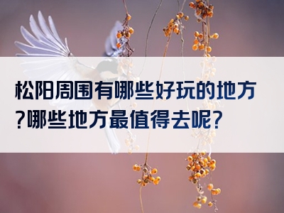 松阳周围有哪些好玩的地方？哪些地方最值得去呢？