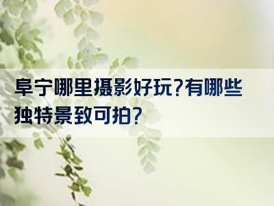 阜宁哪里摄影好玩？有哪些独特景致可拍？