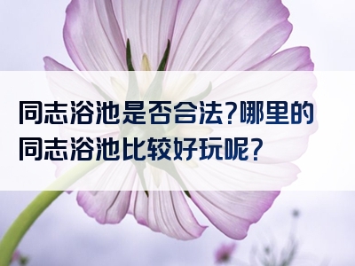 同志浴池是否合法？哪里的同志浴池比较好玩呢？