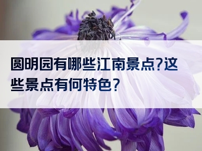 圆明园有哪些江南景点？这些景点有何特色？