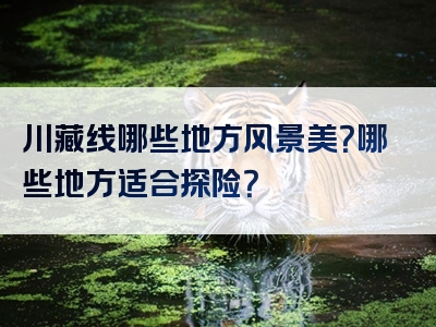 川藏线哪些地方风景美？哪些地方适合探险？