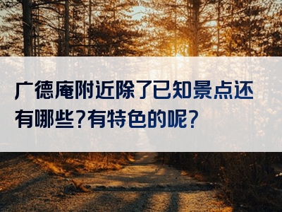 广德庵附近除了已知景点还有哪些？有特色的呢？