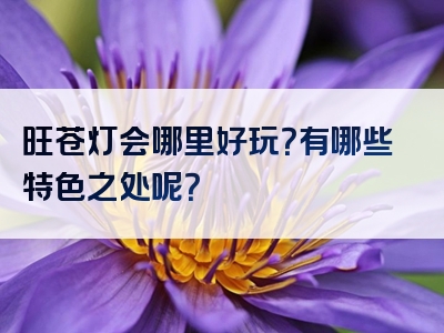旺苍灯会哪里好玩？有哪些特色之处呢？