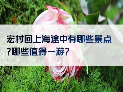 宏村回上海途中有哪些景点？哪些值得一游？