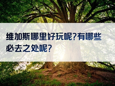 维加斯哪里好玩呢？有哪些必去之处呢？